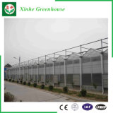 Agriculture/Commercial Polycarbonate Sheet Tent with Cooling System