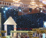 LED Star Curtain with 8 Channels