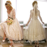 Lace A-Line Bridal Gowns Short Long Sleeves Wedding Dresses Z9011