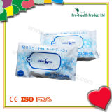Cleaning Wet Wipes in a Plastic Bag (PH734A)