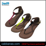 Summer Low Price Soft Thong Sandals for Womens