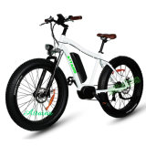 New Man Style 48V 1000W Adult Mountain Electric Fat Bike
