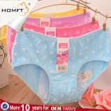 Young Girls Physiological Underwear Sweet Pattern Daisy Comfortable Anti-Leakage Menstruation Panties