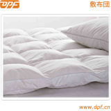 High Quality Anti-Microbial Waterproof Mattress Cover / Protector