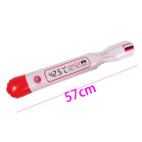 Kids Party Gifts Toys PVC or TPU Inflatable Thermometer