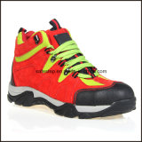 Genuine Leather Sport Model High Quality Safety Shoes