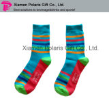University Student Full Colors Logo Design Cotton Socks Set