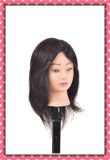 Different Faces Human Hair Training Head 16inches for Style Making