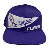 Purple Hot Sale Snapback Baseball Cap with Applique Gjfp17170