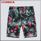 Hot Sell Men's Cargo Shorts in Good Quality