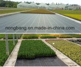 Environmentally Safe Long Term Plastic Weed Control Fabric