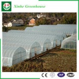 Polyethylene Film Grow Tent for Vegetable/Flower/Fruit