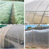 Greenhouse Plastic Anti Insect Net