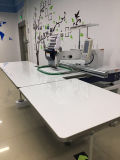 Single Head Embroidery Machine for Cap&T-Shirt Embroidery with Large Embroidery Area