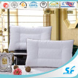 Luxury Soft Hotel/Home Feather and Down Pillow