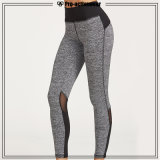 Custom Sexy Pants Wholesale Competitive Price Women Fashionable Leggings