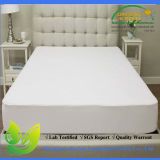 Cotton Queen Size Waterproof Bed Bug Knitted Fitted Sheet