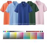 Various Color Choice T Shirt Polo