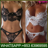 Hot Sale Bra and Panty Suit Lace Lingerie Sexy China Product Underwear
