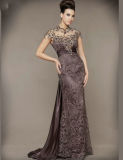 Purple Brown Mother of The Bride Dress Lace Evening Dresses E52766