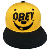 Two Tone Hat with Logo Gj8d