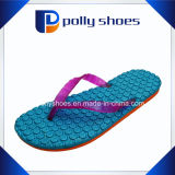 New Women Flip Flop Sports Sandals Blue Orange Purple