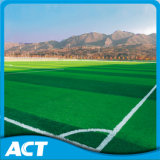 Artificial Grass Carpet for Fooball (W50)