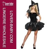 Halloween Fairy Witch Adult Lady Costume (L15276)