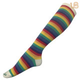 Women's Rainbow Cotton Knee High Stockings