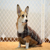 Winter Warm Pet Coat Hoodies Dog Clothes Large