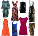 Fancy Dresses/Fashion Dress for Women