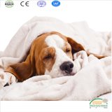 2017 Trending Hot Selling Pet Toys/ Dog Toy/ Cat Toy, Pet Blanket