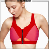 OEM Manufacturers Youth Fitness Lace Mesh Padded Sport Bra