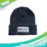 Embroidery Acrylic Cuffed Beanie Knitted Winter Hat/Cap (056)