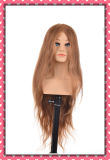 Hot Selling Human Hair Training Head 20inches for Beauty School