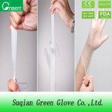 Disposable Transparent Family Use Food Vinyl Gloves with Food Grade