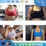 OEM Free Sample Manufacturers Youth Fitness Sexy Ladies Sport Bra