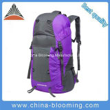 Big Capacity Waterproof Purple Nylon Outdoor Hiking Sport Backpack