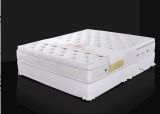 Pillow Top Memory Foam Mattress (K15)