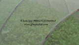 100% HDPE Agriculture Anti Insect Nets