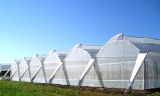 5 Years Warranty 50 Mesh Aphid Netting Agricultural Anti Insect Net for Cultivation of Flowers