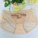 Ladies Underwear Sexy Panty New Design Ladies Transparent Panty