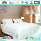 Hotel and Home Used Silk Comforter with Oeko-100 Certification