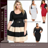 High Quality Woman Fashion Party Lace Plus Size Dress (TP4448)