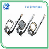 Mobile Phone Home Button for iPhone 5s Wholesales Flex Cable Black White Gold