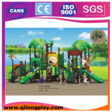 Big Discount Children Outdoor Playground Equipment (QL-3085C)