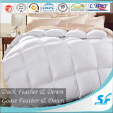 Good Quality with Competetive Comforter Goose Down Duvet