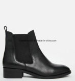 China Women Winter Ankle Boots Exporter