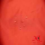 Soft Feel Waterproof Cire Nylon Fabric for Down Jacket/Windbreaker