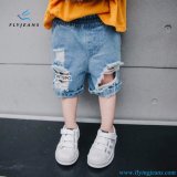 New Style Stretch Cotton Denim Ripped Jeans Shorts for Boys by Fly Jeans